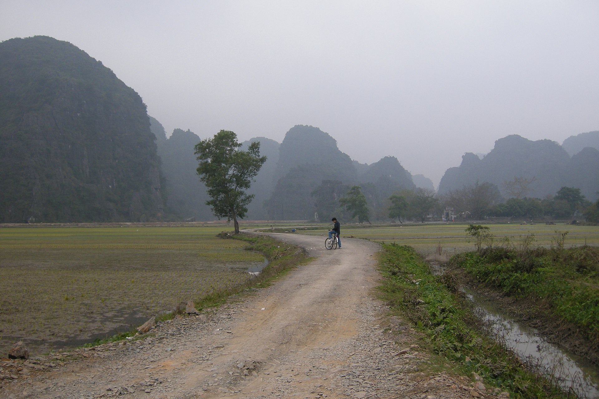 Cyclist on a path through rice paddies with dramatic karst mountains rising in the mist, Ninh Binh, Vietnam